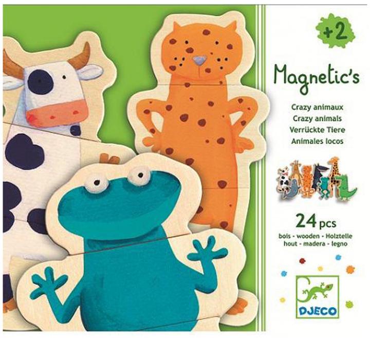 Actual product image Djeco Magnets Crazy (24 pieces)