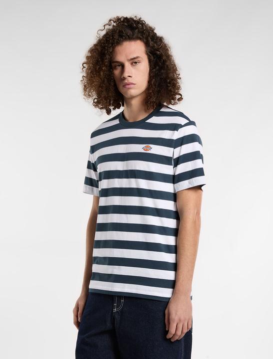 Immagine prodotto Dickies Rivergrove Ss Tee Air Force Blue (L)