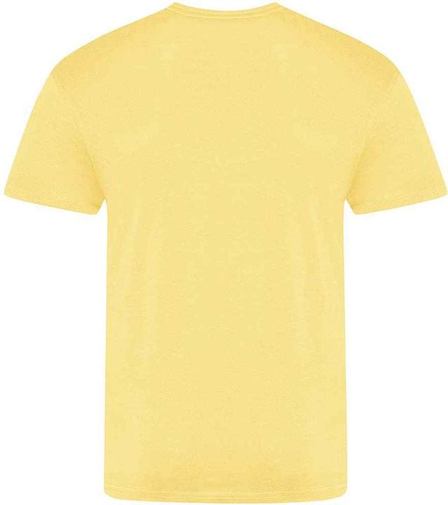Image du produit Awdis The 100 Tshirt (XL)