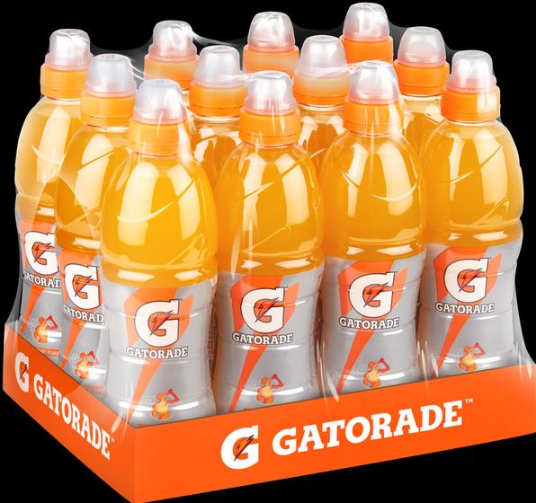 Immagine prodotto Gatorade Mandarine (12 x 75 cl)