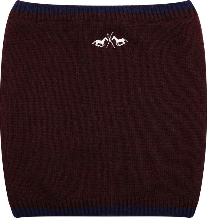 Actual product image HV Polo Tess