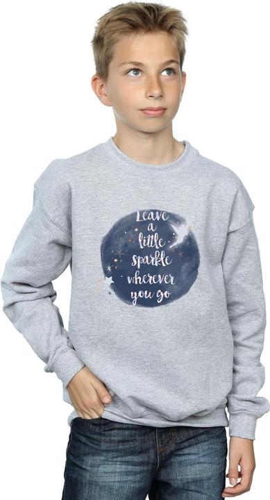 Produktbild Disney Tinker Bell A Little Sparkle Sweatshirt Jungen (140, 146)