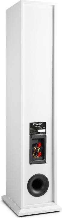 Actual product image Fenton SHF80W (1 pair, 250 W)