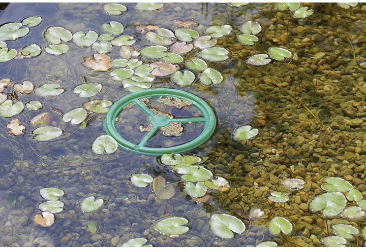 Actual product image Pontec PondoFeed Ring