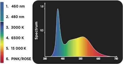 Image du produit Fluval Plant Nano LED (LED, 15 W)