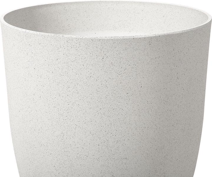 Image du produit Beliani Croton (43 cm)