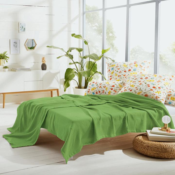 Immagine prodotto Erwin Müller Coperta estiva (220 x 240 cm)