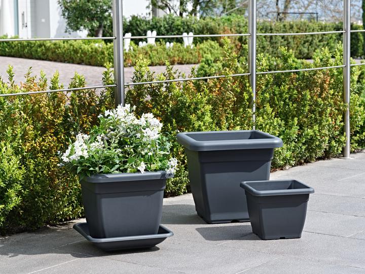 Image du produit Herstera Soucoupe Nazca