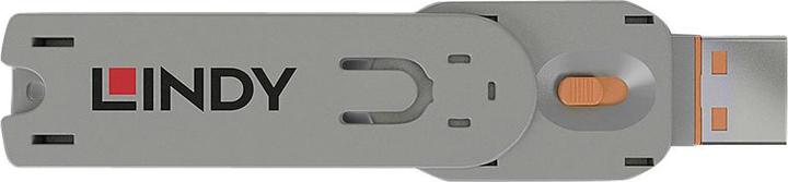 Actual product image Lindy Key for USB port lock