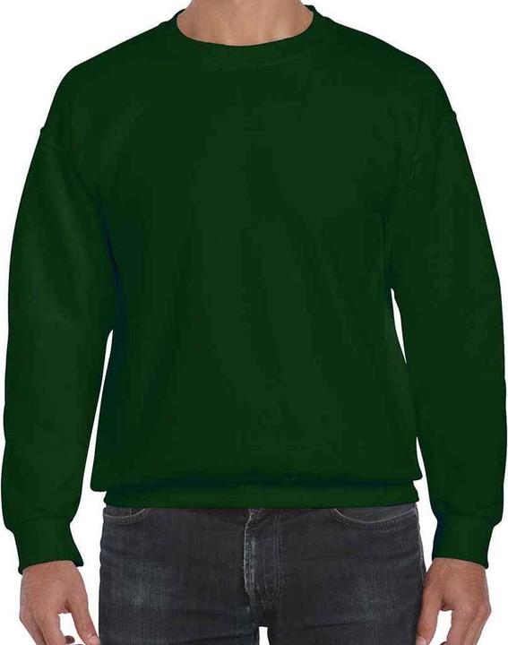 Image du produit Gildan - Sweat - Homme (XXL)