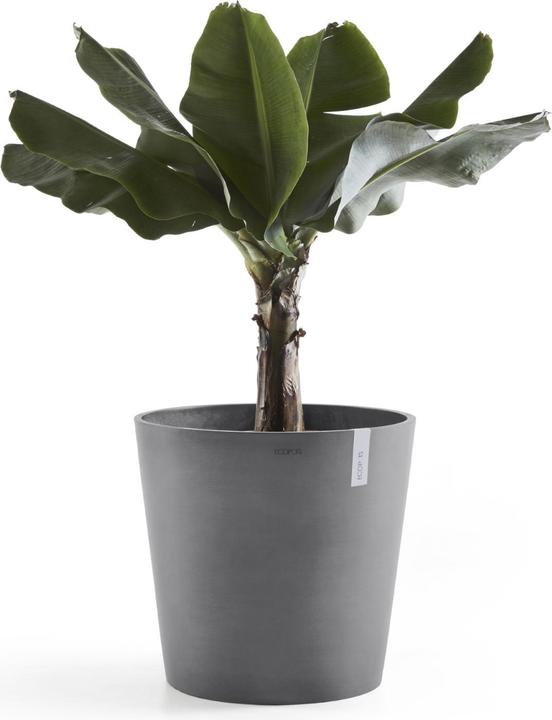 Actual product image Ecopots Amsterdam (50 cm)