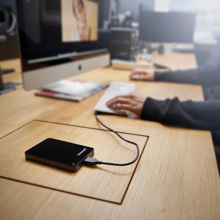 Produktbild Intenso Memory Case (1 TB)