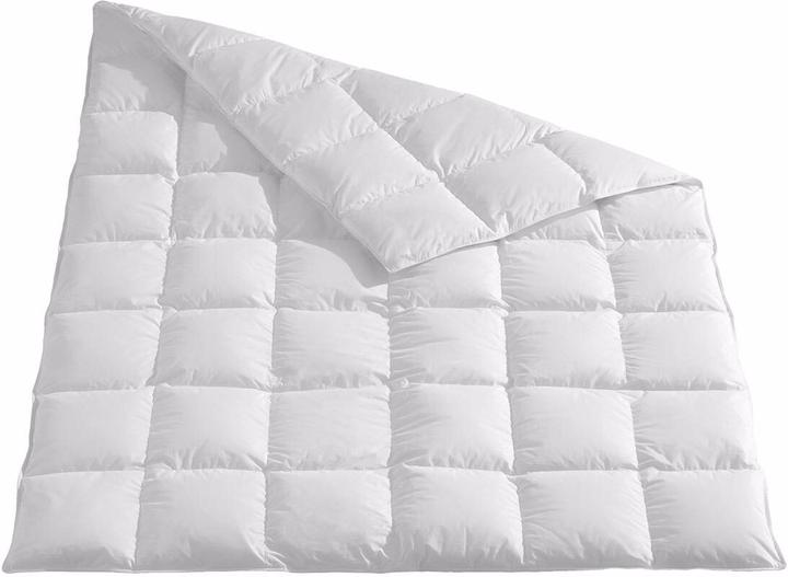 Produktbild Traumschlaf Himalaya (480 g, 135x200 cm)