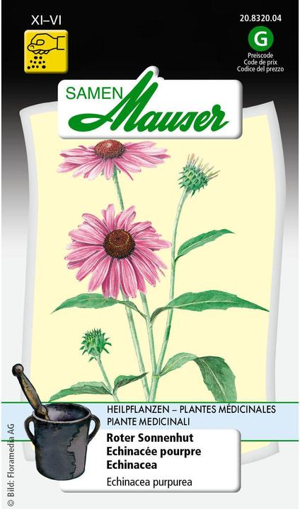 Actual product image Samen Mauser coneflower (Plant seeds)
