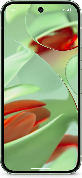 Produktbild Google 9 (256 GB, Wintergreen, 6.30", Dual SIM, 50.33 Mpx, 5G)