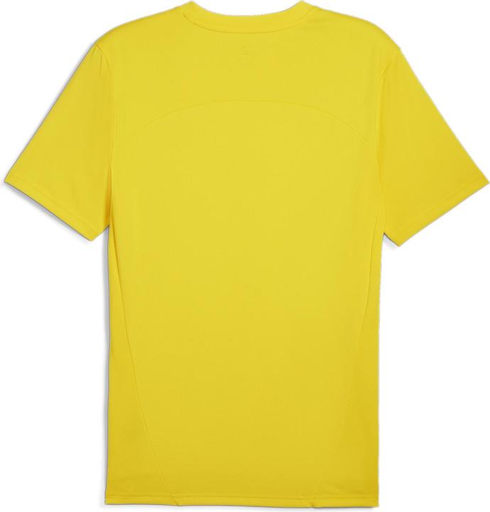 Actual product image Puma BVB Training Jersey (S)