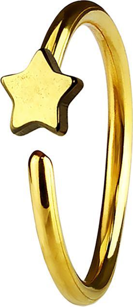 Produktbild Star Piercing Micro Piercing Ring mit Stern vergoldet (ohne Messing, Chirurgenstahl 316L)