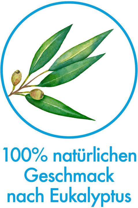 Actual product image Meridol Pur (75 ml)