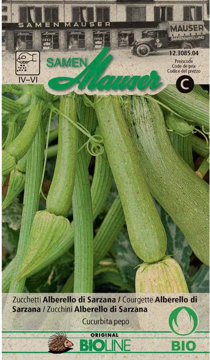 Image du produit Samen Mauser Zucchetti Alberello di Sarzana (Graines de légumes)
