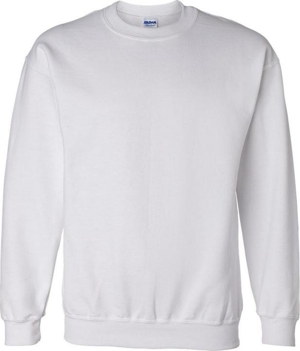 Gildan Sweatshirt (S)