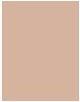 Immagine prodotto Dr. Hauschka Polvere abbronzante (No. 01 Bronzo, Bronzer, 10 g)
