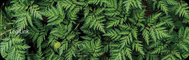Actual product image LogiLink Forest