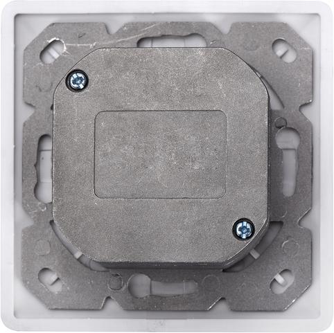 Actual product image Digitus EA network socket