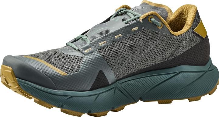 Produktbild Dynafit Ultra 100 GTX Laufschuh (44.5)