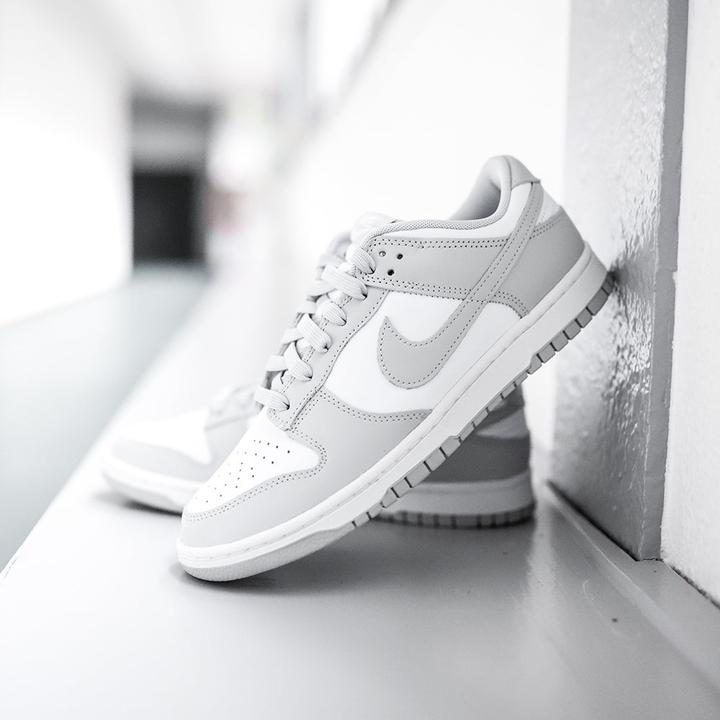 Image du produit Nike Dunk Low (44)