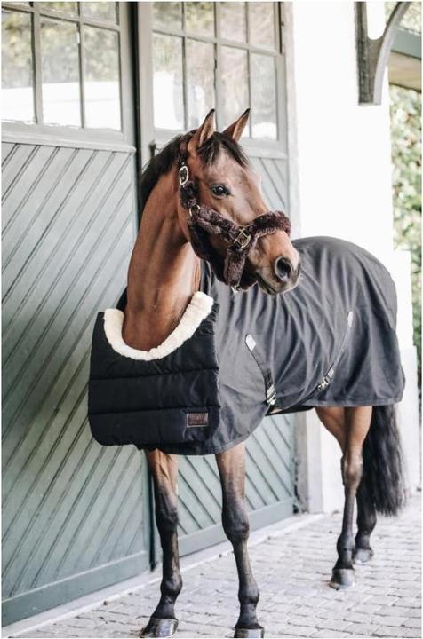 Immagine prodotto Kentucky Horsewear Coperta invernale per cavalli BIB Chest Protector