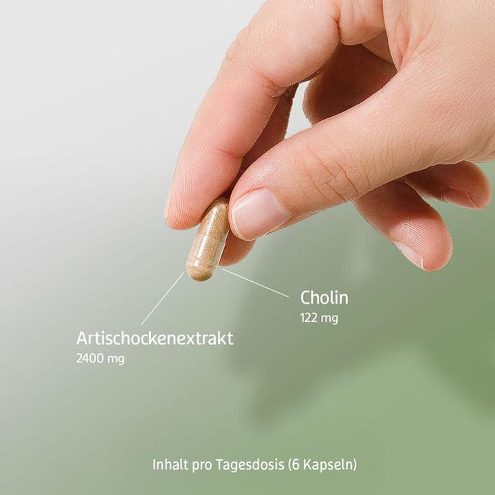 Produktbild Effective Nature Artischocken Extrakt mit Cholin (90 Stück, Kapseln, 90 g)