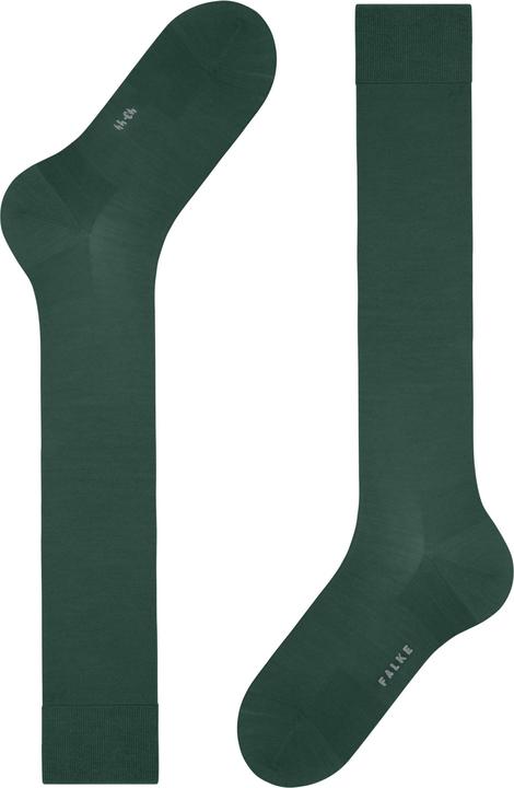 Produktbild Falke Clima Wool (39 - 40)