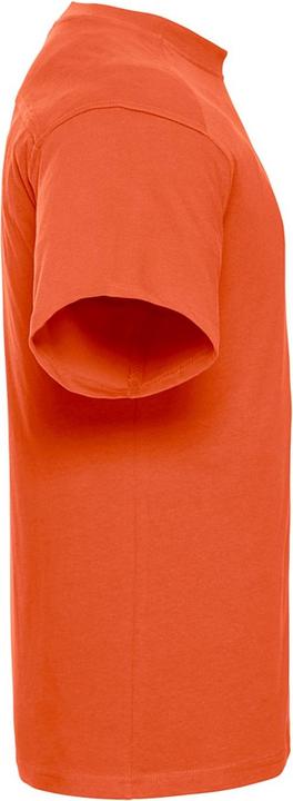 Actual product image Russell Mens Heavyweight T-Shirt (XL)