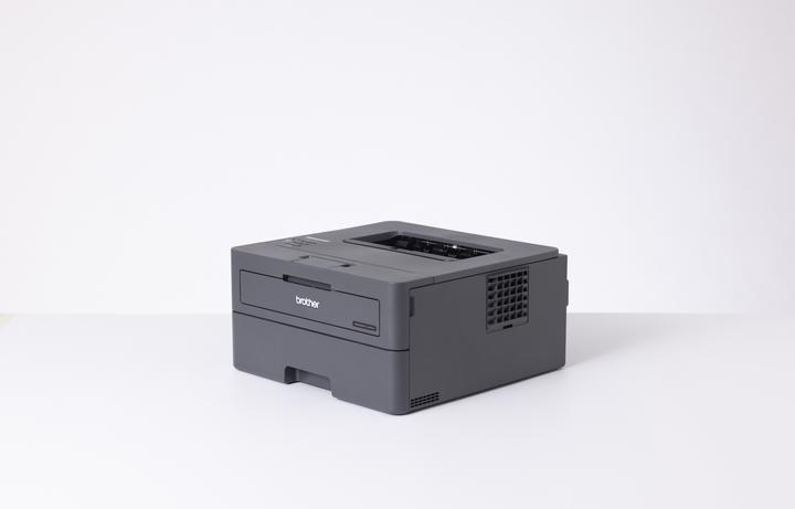 Actual product image Brother HL-L2400DW (Laser, Black and white)