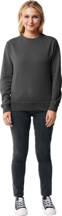 Actual product image Universal Textiles Unisex Adult Etosha Recycled Cotton Lightweight Sweatshirt (XXL)
