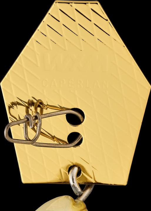 Image du produit Caperlan 340382