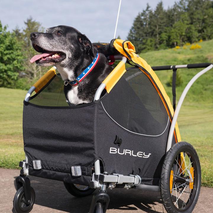 Actual product image Burley tail wagon