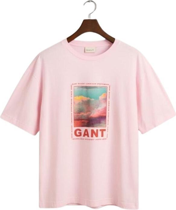 Actual product image GANT t-hirt wahed graphic (S)