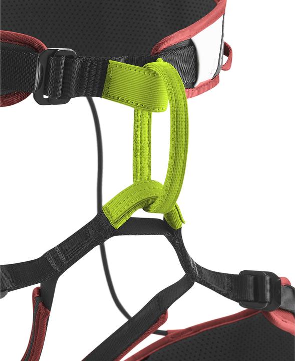 Actual product image Edelrid Zack Gym II rental climbing harness (XS)