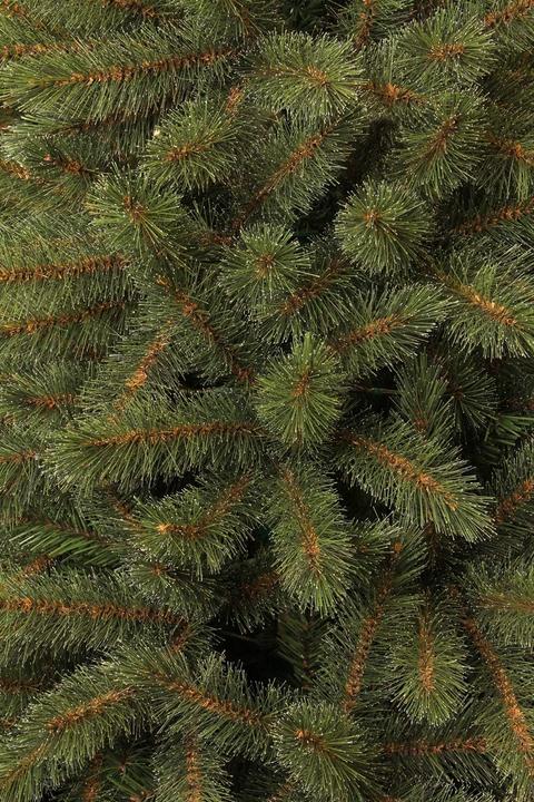 Produktbild Triumph Bristlecone (215 cm)