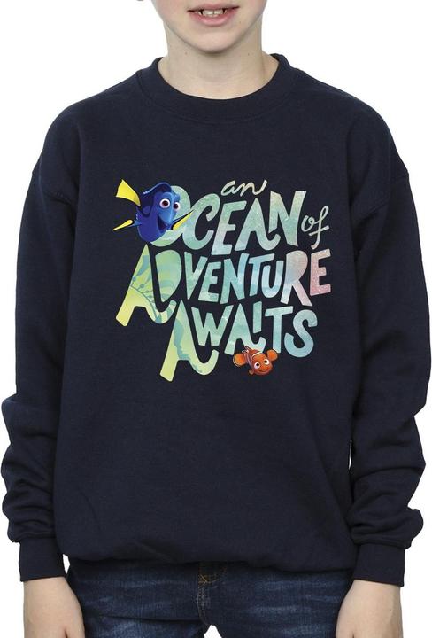 Actual product image Disney Boys Finding Dory Ocean Of Adventure Sweatshirt (140, 146)