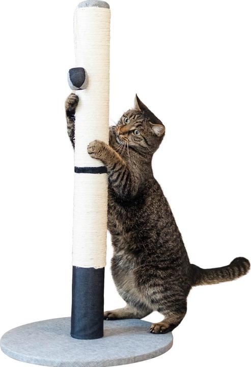 Actual product image Kerbl Scratching post Opal Pro grey/black 40x40x80cm (80 cm, Grey/Black)