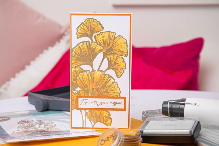 Actual product image Sizzix Clear Stamps Set 4 PK - Cosmopolitan, Inspire by Stacey Park