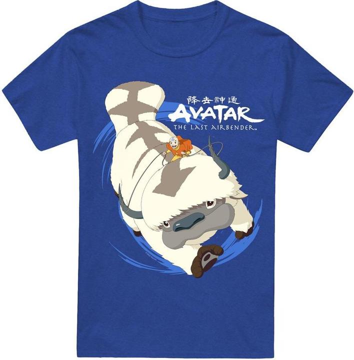 Image du produit Avatar: The Last Airbender - T-shirt IN FLIGHT - Adulte (3XL)