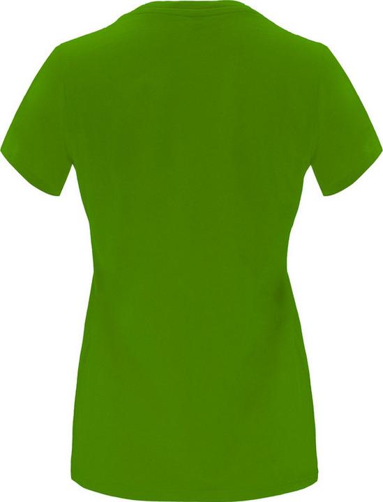 Actual product image Alpinia Womens/Ladies Capri Short-Sleeved T-Shirt (XXL)