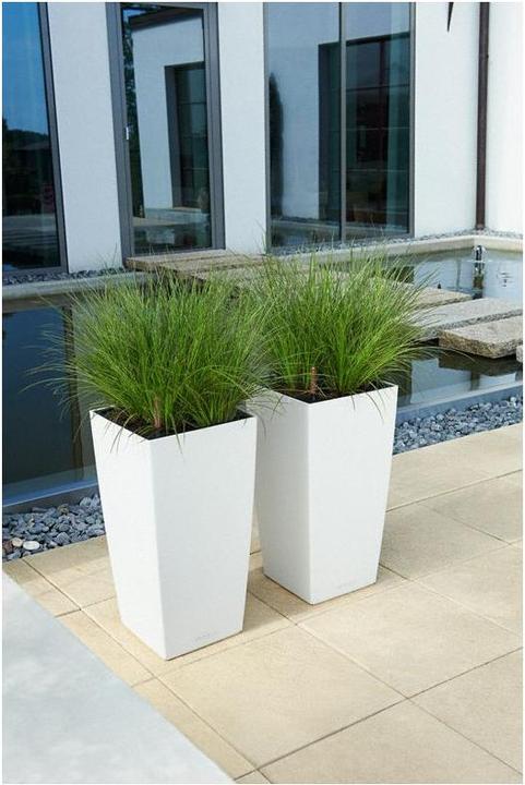 Actual product image Lechuza Cubico Color (29.50 cm)