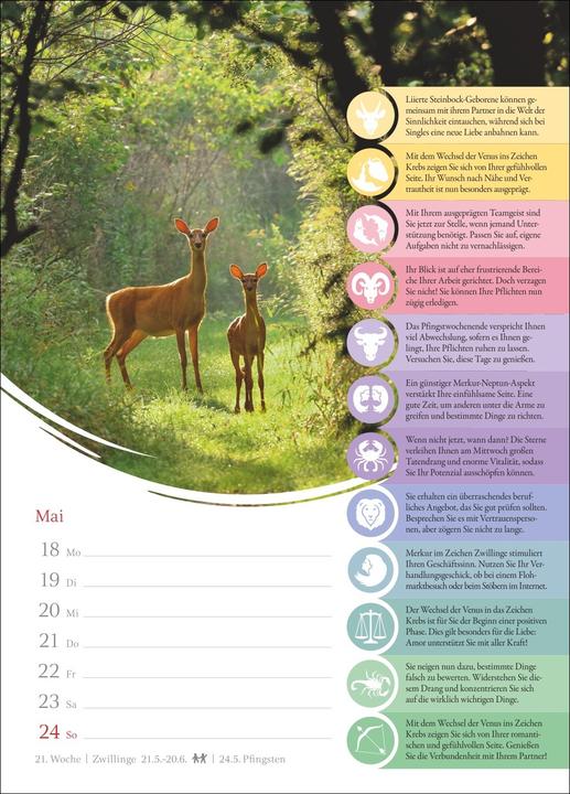 Actual product image Harenberg Horoskope Wochenkalender 2026 - Wochenkalender mit Prognosen für alle Sternzeichen (German)