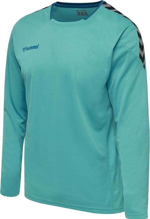 Image du produit hummel Authentic Poly Jersey L/S (S)