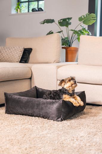 Actual product image Designed by Lotte Ribbed divan bed (Dog)