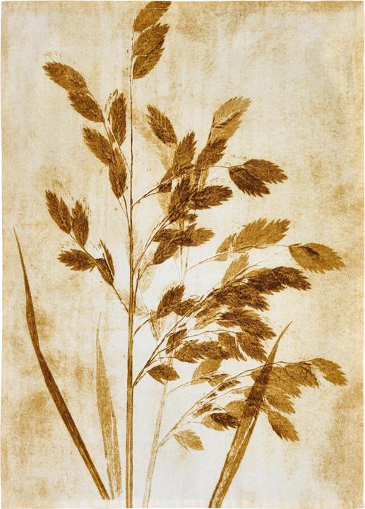Södahl Geschirrtuch-Set Oat grass Beige (50 x 70 cm)